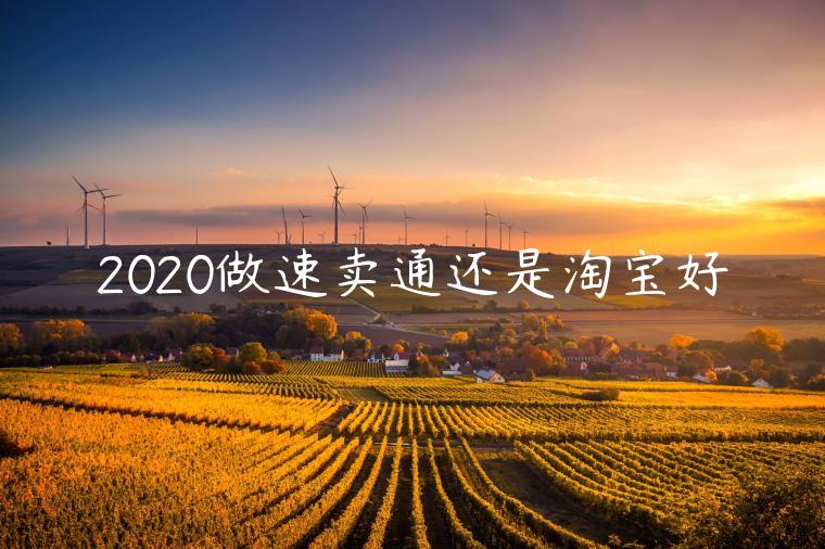 2020做速賣通還是淘寶好